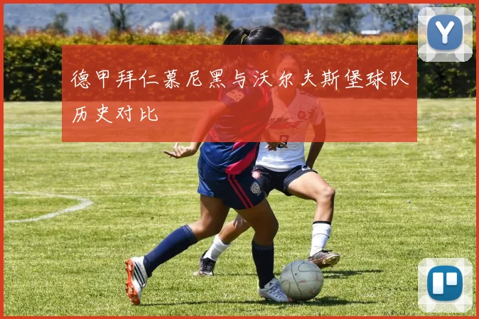 德甲拜仁慕尼黑与沃尔夫斯堡球队历史对比