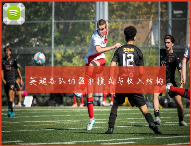 英超各队的盈利模式与收入结构