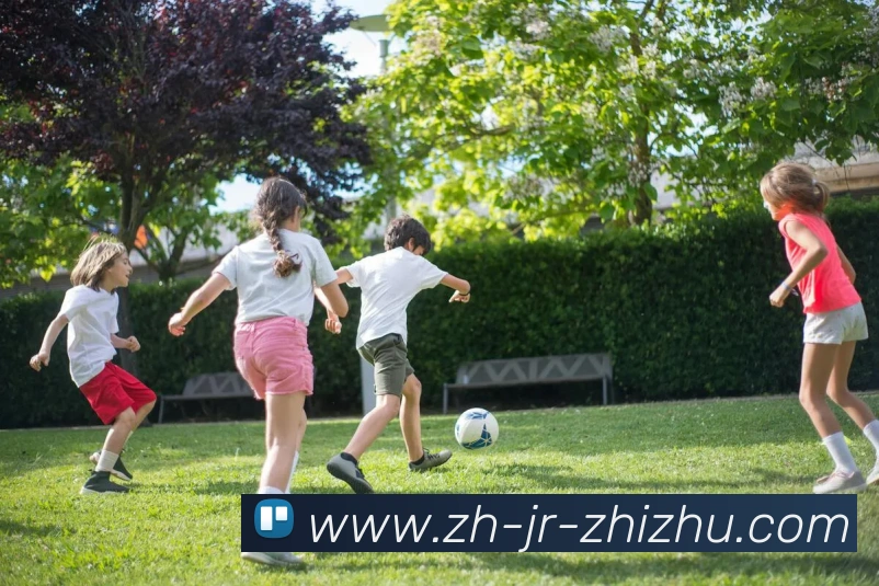 蜘蛛直播平台生态图