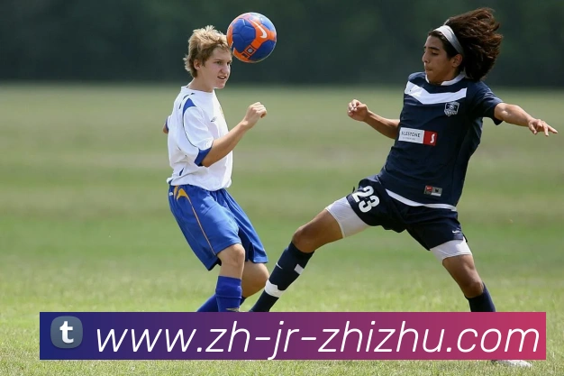 数据防护可视化